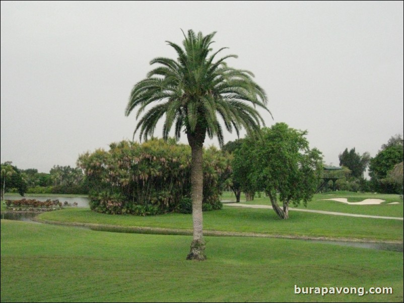 TPC Blue Monster at Doral.