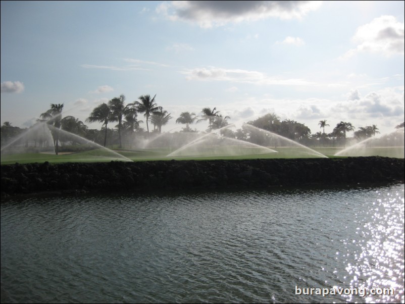 Great White Course at Doral.