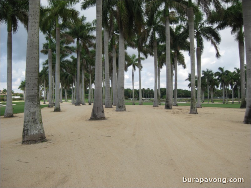 Great White Course at Doral.