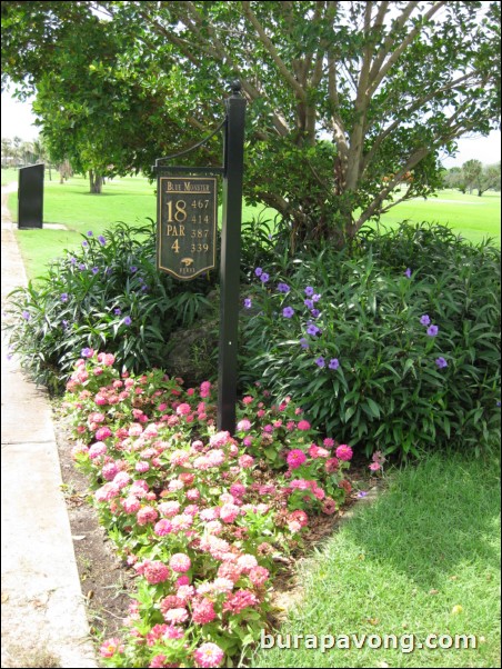 TPC Blue Monster at Doral.