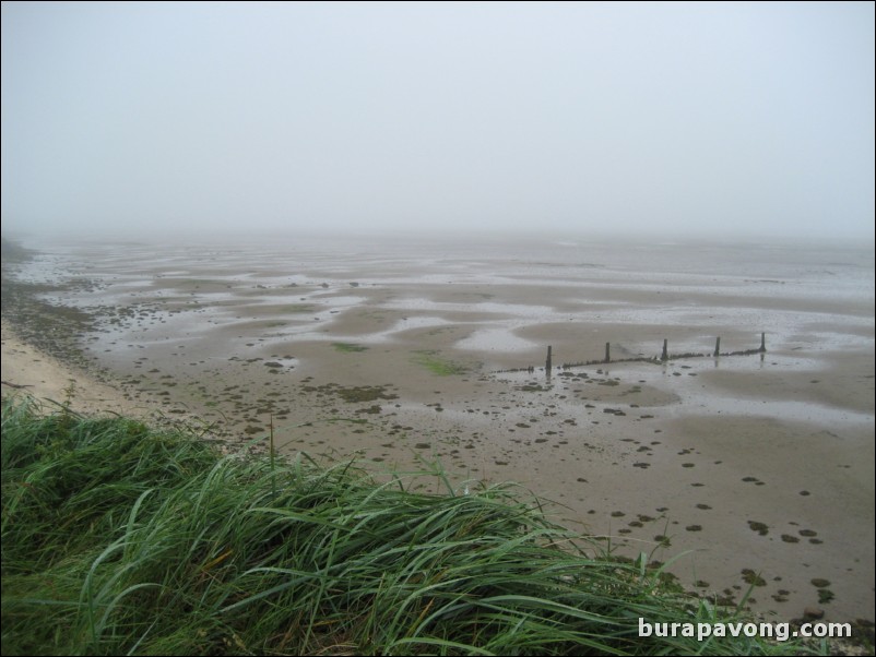 View of Eden Estuary from Hole No. 9.