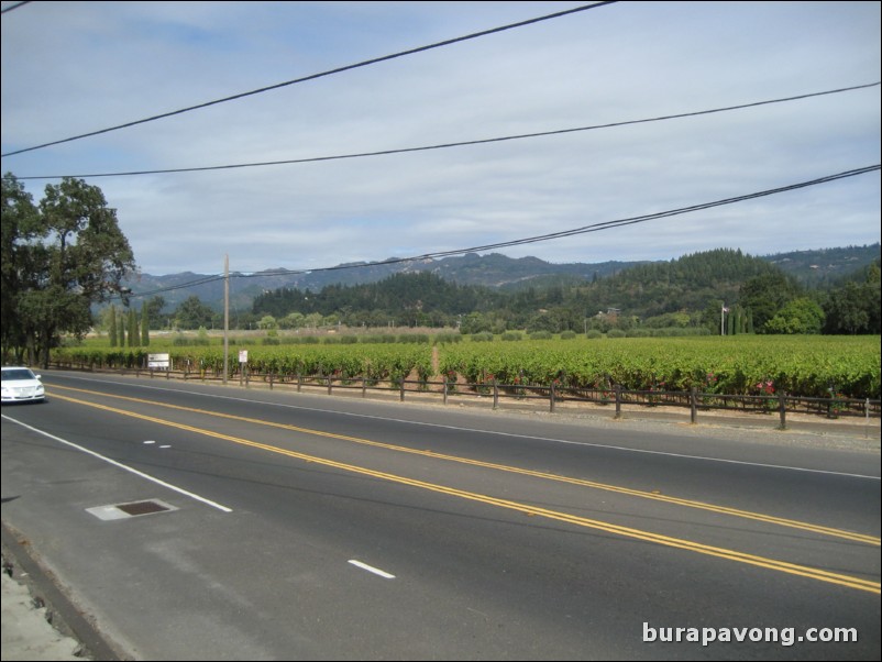 Culinary Institute of America at Greystone, St. Helena.