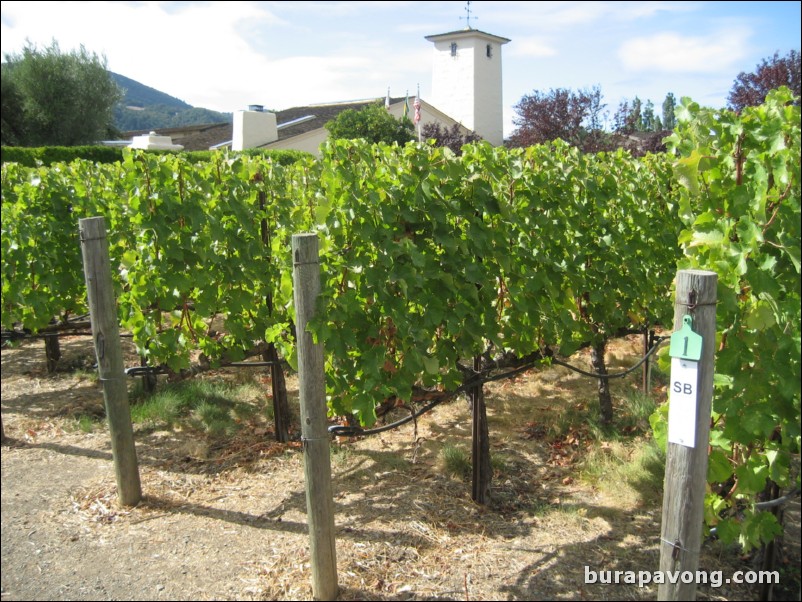 Robert Mondavi Winery.