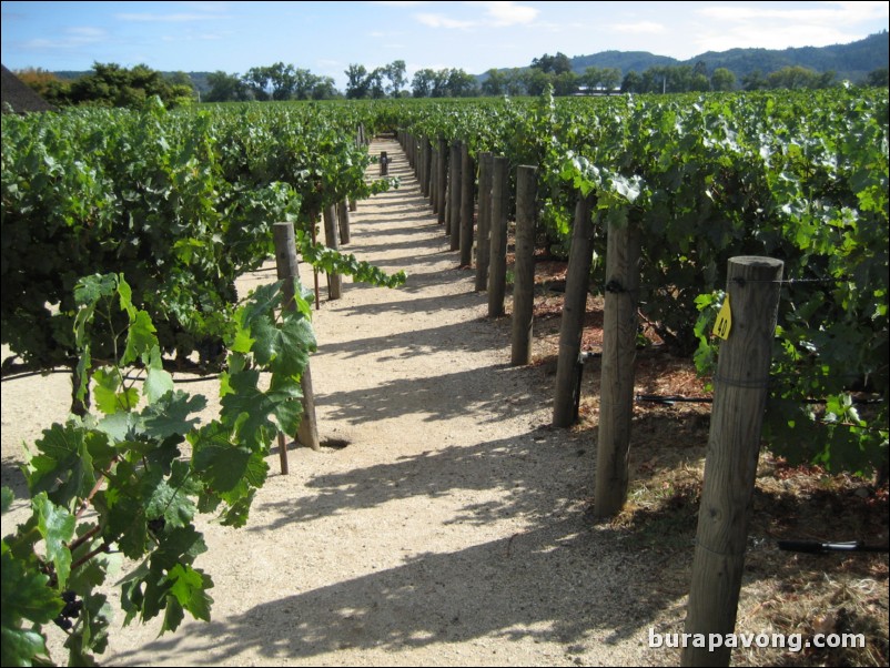 Robert Mondavi Winery.