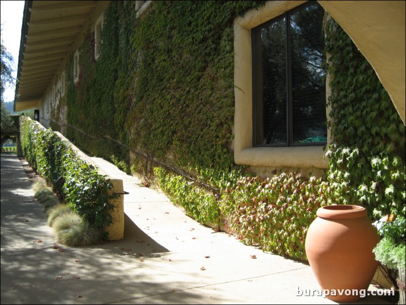 Robert Mondavi Winery.