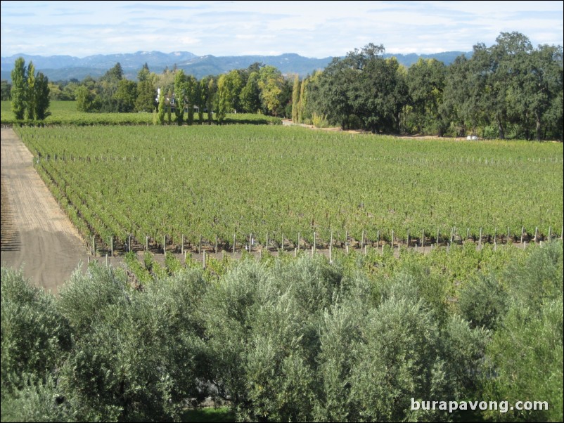 Opus One Winery.