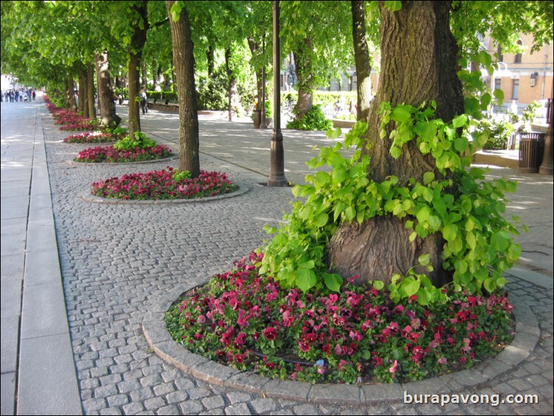 Karl Johans gate, the main street of Oslo.