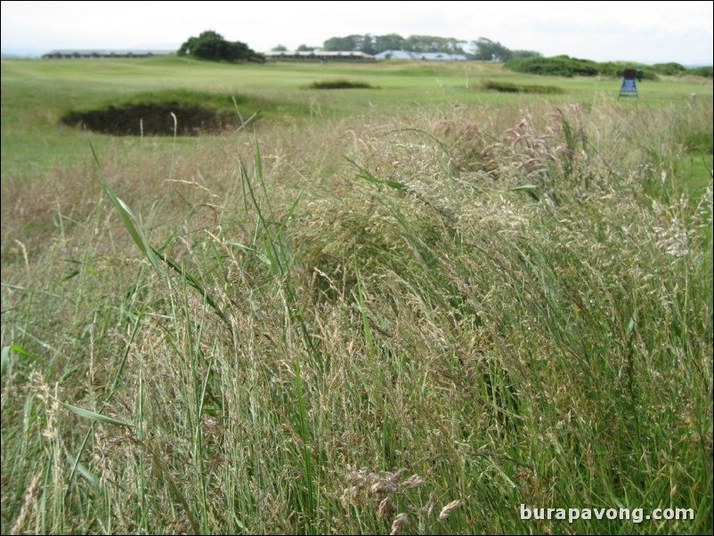 Sunday on The Old Course.