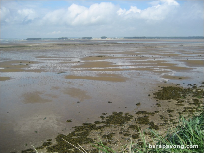 Eden Estuary.