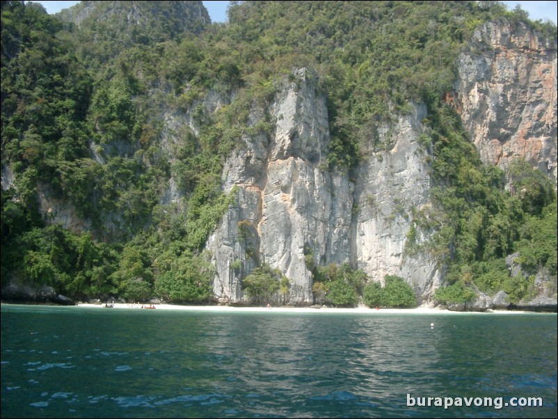 Monkeys on the beach around Phi Phi Island.