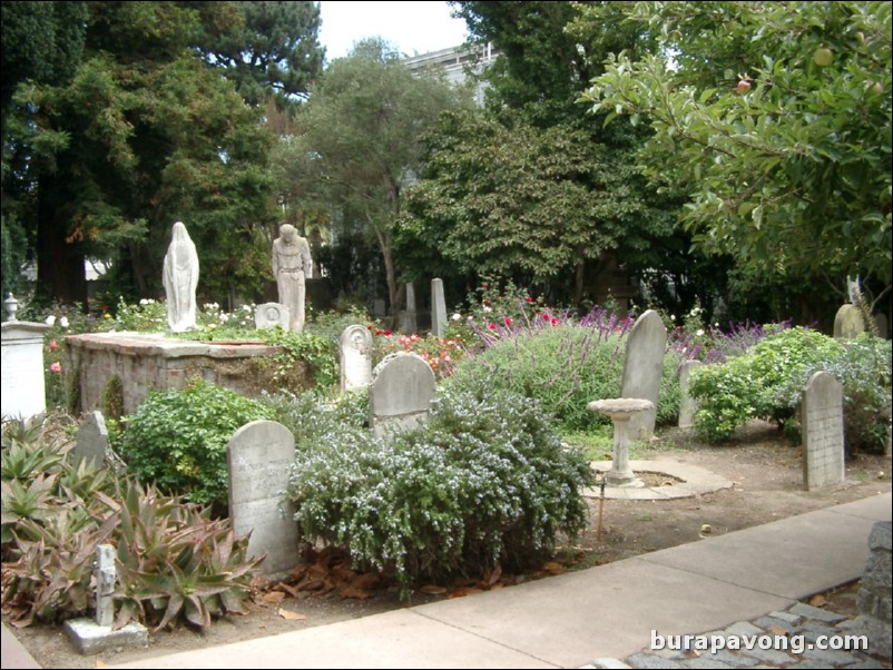 The graveyard at Mission Dolores, seen in the movie Vertigo.