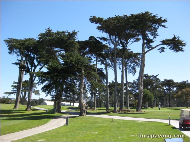 Harding Park Golf Course, home of the 2009 Presidents Cup.