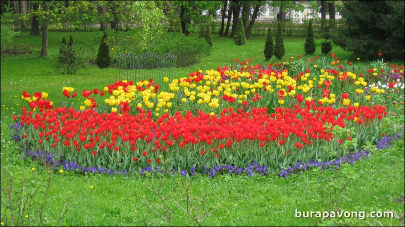 The Lower Gardens of Peterhof Palace.