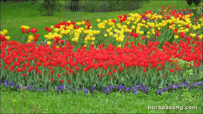 The Lower Gardens of Peterhof Palace.