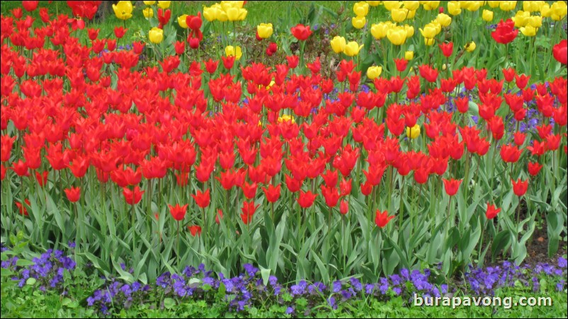 The Lower Gardens of Peterhof Palace.