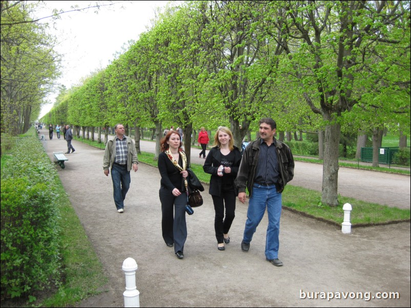 The Lower Gardens of Peterhof Palace.