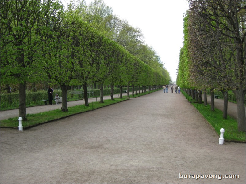 The Lower Gardens of Peterhof Palace.