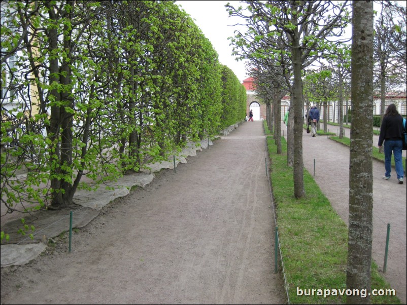 The Lower Gardens of Peterhof Palace.