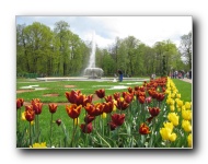 The Lower Gardens of Peterhof Palace.