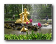 The Lower Gardens of Peterhof Palace.