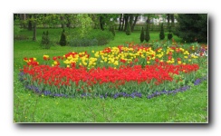 The Lower Gardens of Peterhof Palace.