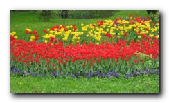 The Lower Gardens of Peterhof Palace.