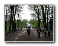 The Lower Gardens of Peterhof Palace.