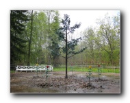 The Lower Gardens of Peterhof Palace.