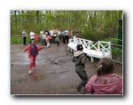 The Lower Gardens of Peterhof Palace.