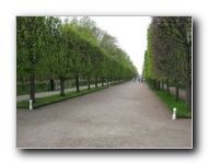 The Lower Gardens of Peterhof Palace.