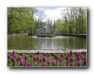 The Lower Gardens of Peterhof Palace.