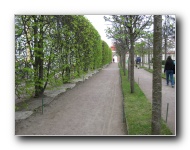 The Lower Gardens of Peterhof Palace.