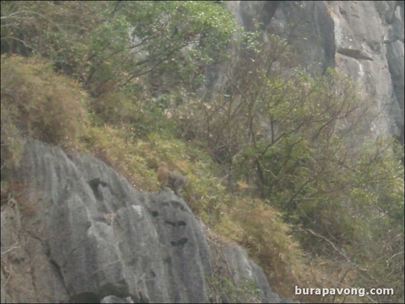 Ha Long Bay.