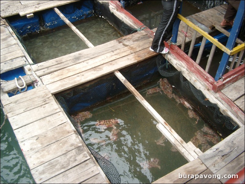 A floating market on Ha Long Bay.