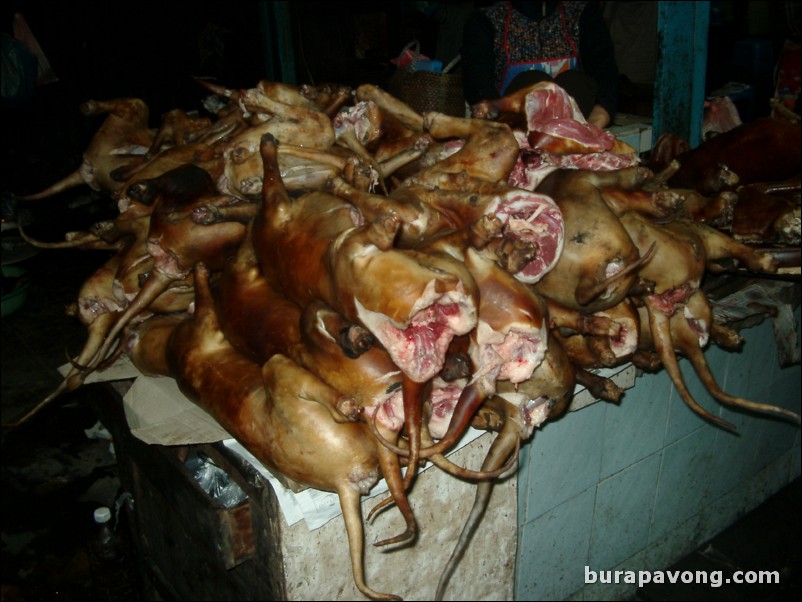 Dogs at a market in Hanoi.