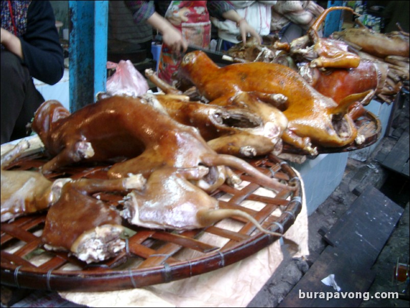 Dogs at a market in Hanoi.