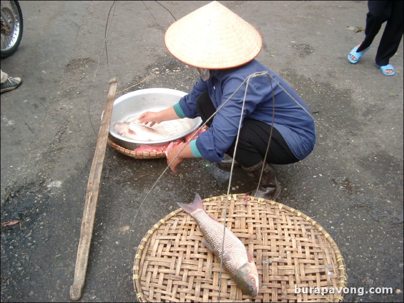 Hanoi.